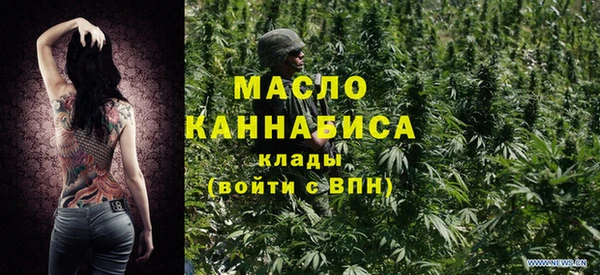 дмт Алексин