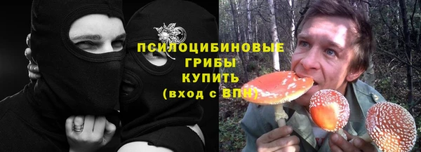 ГАЛЛЮЦИНОГЕННЫЕ ГРИБЫ Алексеевка