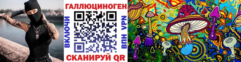 купить   Электрогорск  Псилоцибиновые грибы Magic Shrooms 