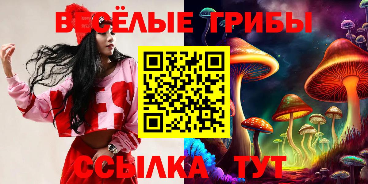 Электрогорск  Галлюциногенные грибы MAGIC MUSHROOMS  Вход с VPN 