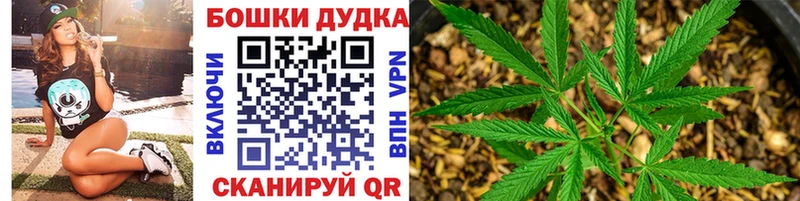 хочу наркоту Электрогорск Бошки марихуана SATIVA & INDICA